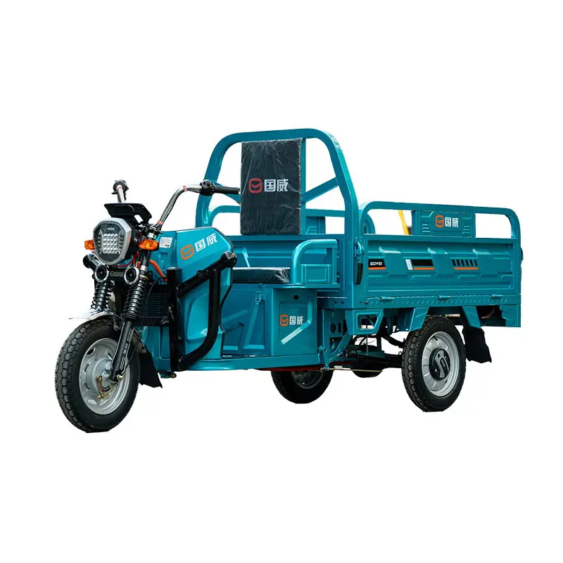Electric Cargo Tricycle